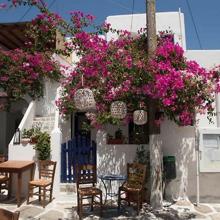 Villa Kavalli Paros Dhragoulas Exteriör bild
